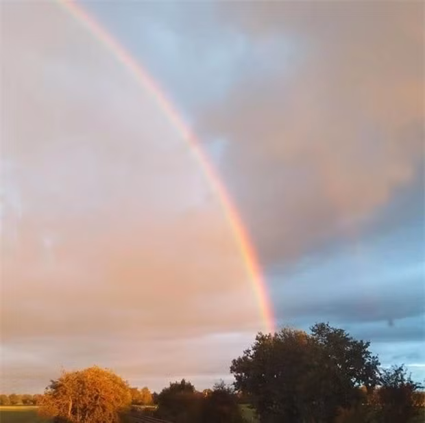 6. Hai nửa thế giới.