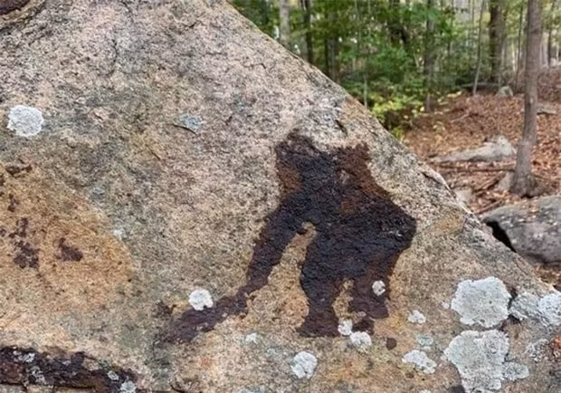 5. Nhìn như Big Foot đang cầm vũ khí ấy nhỉ?