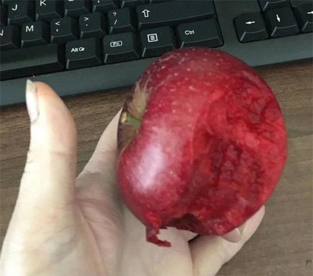 7. Quả táo đỏ từ trong ra ngoài, không phải ai cũng may mắn được gặp.