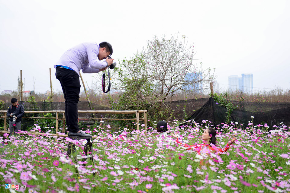 Không chỉ có hoa đào, vườn hoa cánh bướm cũng thu hút nhiều bạn trẻ.