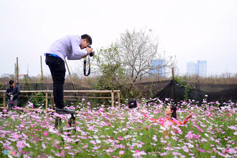 Không chỉ có hoa đào, vườn hoa cánh bướm cũng thu hút nhiều bạn trẻ.
