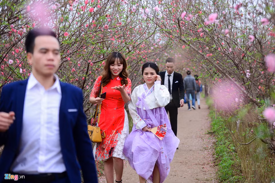 Giá vào cửa vườn hoa chụp ảnh dịch vụ là 50.000 đồng/mẫu. Ngoài ra, các phim trường có ưu đãi cho khách hàng với trọn gói phó nháy, make up, trang phục tự chọn với giá 400.000 đồng.