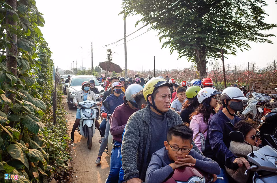Ngày 27/1, thời tiết nắng ấm, nhiều người kéo nhau đến vườn hoa Nhật Tân (Hà Nội) khiến con đường vào đây luôn trong tình trạng ùn tắc.