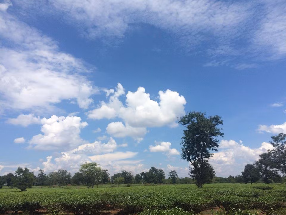 Không chỉ mang một vẻ tuyệt mỹ của những cánh đồng chè đến khó quên mà địa điểm du lịch Biển Hồ Chè còn là sự lựa chọn rất thích hợp cho những ai đi du lịch về vùng đất mộng mơ này. Những nét bình yên đến kinh ngạc hay các khung cảnh hùng vĩ của Biển Hồ Chè sẽ làm cho rất nhiều người cảm thấy thật sự ấn tượng.