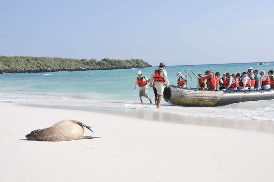 Quần đảo Galapagos (Ecuador): Biến đổi khí hậu đang khiến El Nino (hiện tượng nước biển nóng lên) phát triển mạnh. Hiện tượng thời tiết cực đoan này ảnh hưởng rất lớn tới quần đảo Galapagos, thiên đường biển tập hợp các ngọn núi lửa nằm về 2 phía xích đạo trên Thái Bình Dương, cách đất liền Ecuador khoảng 906 km. El Nino dẫn đến việc hủy hoại môi trường nước giàu dinh dưỡng, ảnh hưởng tới chuỗi thức ăn của nhiều loài động vật, hủy hoại hệ sinh thái biển. Ảnh: Heikki2009.