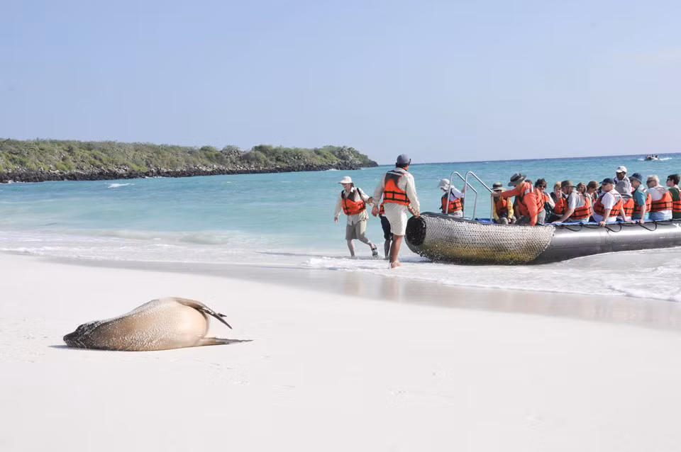 Quần đảo Galapagos (Ecuador): Biến đổi khí hậu đang khiến El Nino (hiện tượng nước biển nóng lên) phát triển mạnh. Hiện tượng thời tiết cực đoan này ảnh hưởng rất lớn tới quần đảo Galapagos, thiên đường biển tập hợp các ngọn núi lửa nằm về 2 phía xích đạo trên Thái Bình Dương, cách đất liền Ecuador khoảng 906 km. El Nino dẫn đến việc hủy hoại môi trường nước giàu dinh dưỡng, ảnh hưởng tới chuỗi thức ăn của nhiều loài động vật, hủy hoại hệ sinh thái biển. Ảnh: Heikki2009.