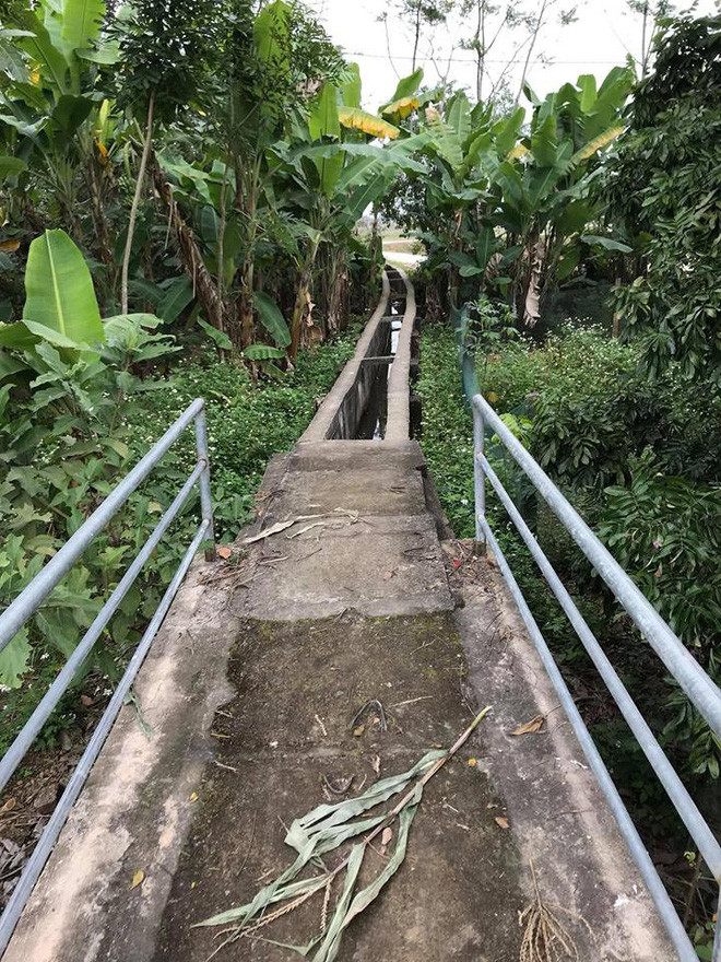 Tin Google Maps, nguoi dan ong suyt roi xuong muong trong ngay dau nam-Hinh-4