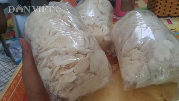 Nấm sau khi thu hoạch được đóng gói cẩn thận để dễ dàng vận chuyển cũng như bảo quản.