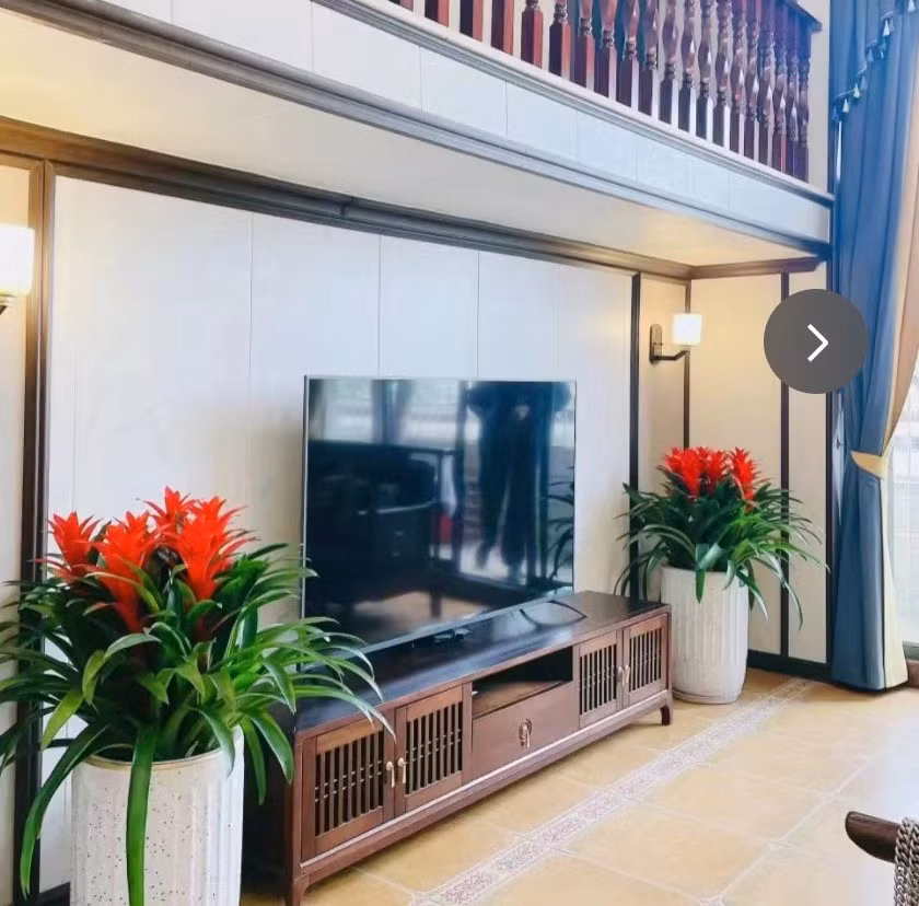 Đây là bông hoa đỏ lộng lẫy, may mắn, chiêu tài nên thật hoàn hảo để đặt một chậu cây cảnh này trong nhà để cầu tài. 