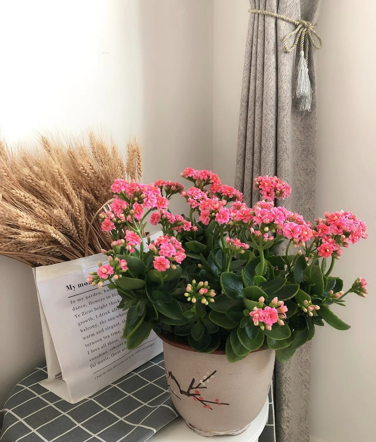 Tuy vẻ ngoài nhỏ nhắn nhưng cây cảnh sống đời mang một sức mạnh bền bỉ đúng như tên gọi. Đặc biệt, khi lá sống đời rụng xuống đất thì nó sẽ mọc rễ và trở thành một cây con. Điều nay minh chứng cho sự trường thọ, vĩnh hằng theo thời gian.