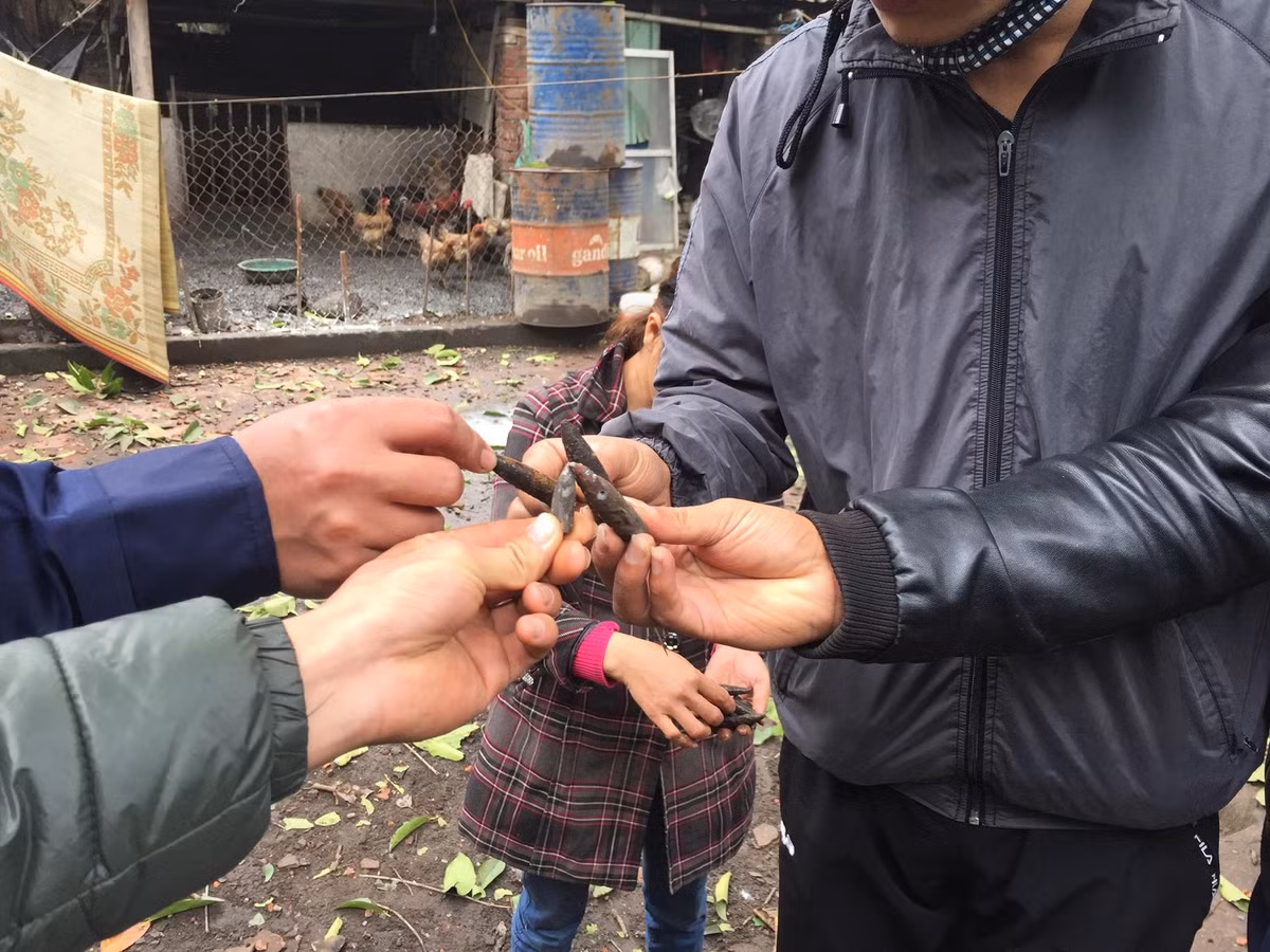 Khai tại cơ quan điều tra, chủ vựa phế liệu phát nổ cho hay, từ tháng 12/2016 có mua khoảng 7 tấn đầu đạn cũ loại 12 ly 7 và 14 ly 5 để tháo dỡ phế liệu.