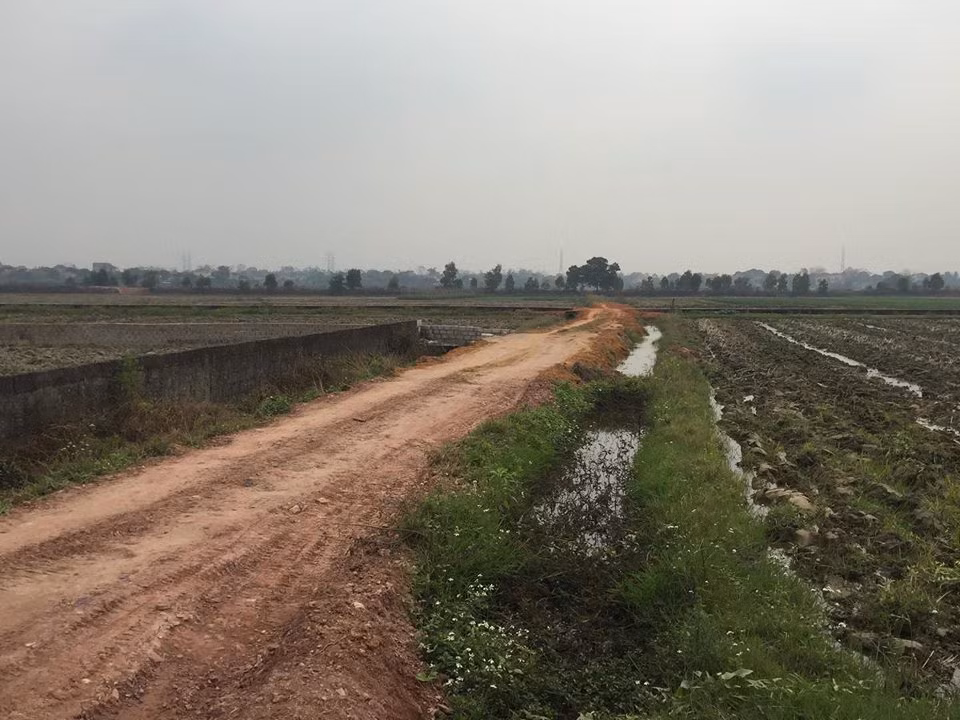 Khối lượng đất đá, sỏi bị lấy đi rất lớn nhưng phần đất để làm đường nội đồng rất mỏng, không tương xứng với khối lượng đất đá đã khai thác. Ảnh: H.N.