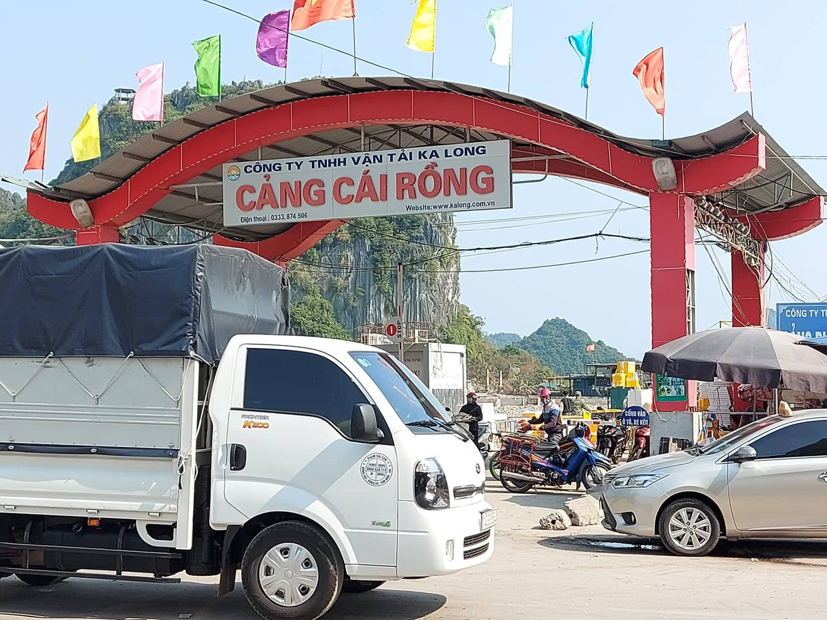 Để không bị lọt các trường hợp trở về từ vùng dịch hoặc có lịch sử dịch tễ tiếp xúc gần với các ca dương tính, chính quyền tỉnh Quảng Ninh khuyến cáo người dân chủ động, thành khẩn khai báo y tế với chính quyền địa phương. Đồng thời sẽ xử lý nghiêm đối với những trường hợp cố tình khai báo thiếu trung thực về điều tra dịch tễ, gây khó khăn cho công tác truy vết, khoanh vùng dập dịch. 