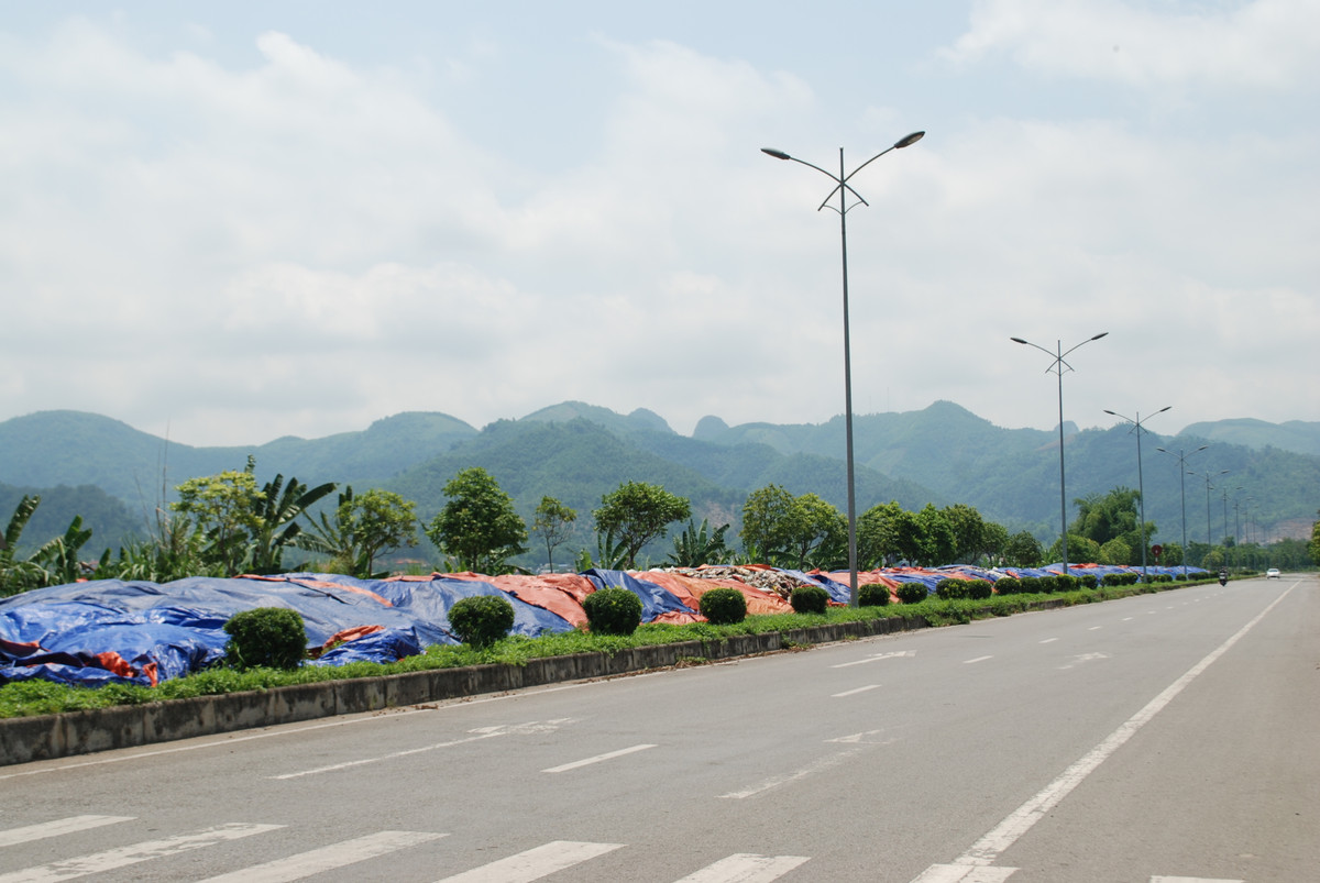 Bai rac dai hang tram met bong dung 