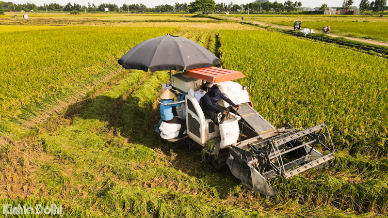 Tuy nhiên, thời điểm hiện tại bắt đầu bước vào mùa hè, nắng nóng khá gay gắt.