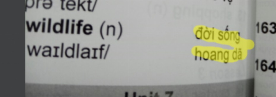 SGK tieng Anh i-Learn Smart World lop 6 cung bi phan anh co nhieu 'san'-Hinh-9