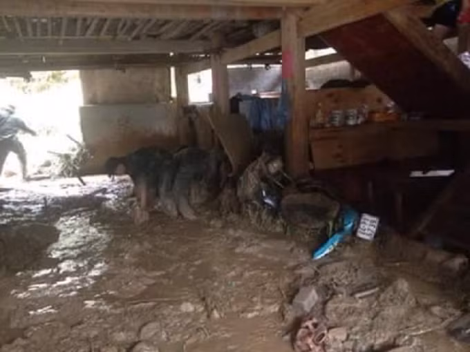 Lực lượng quân đội dầm mình dưới bùn, dọn dẹp nhà cửa giúp dân sau trận lũ quét qua Lào Cai.