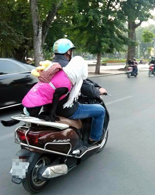 Vừa ấm áp, lại thời trang.