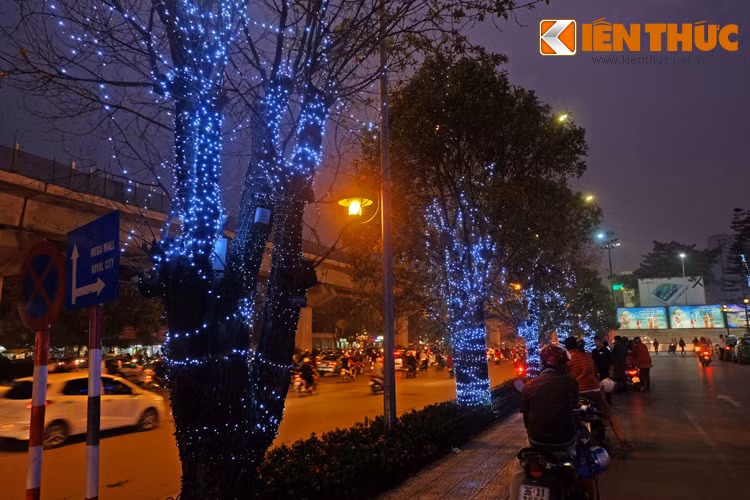 Tại nhiều con phố, các hàng cây được chăng đèn đẹp mắt.