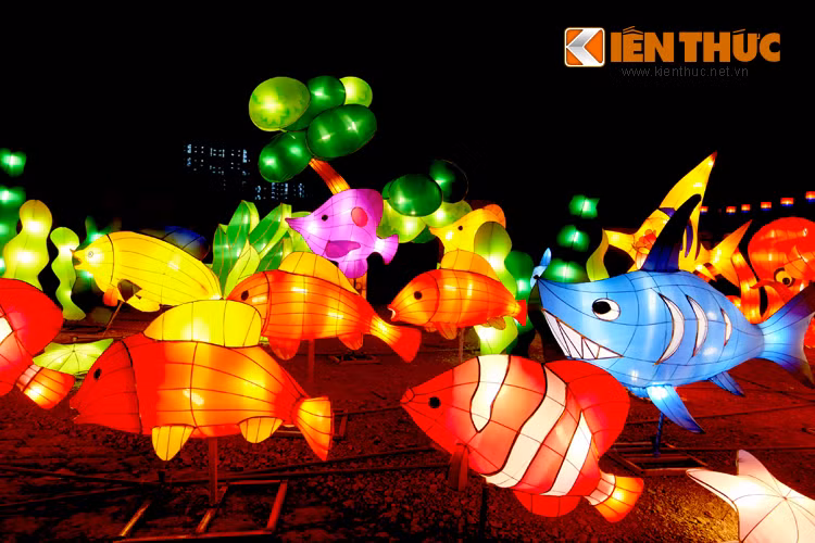 Lễ hội còn bao gồm nhiều chương trình biểu diễn ca nhạc Kpop, biểu diễn Taekwondo, nhạc cụ truyền thống, thi nhảy cover...