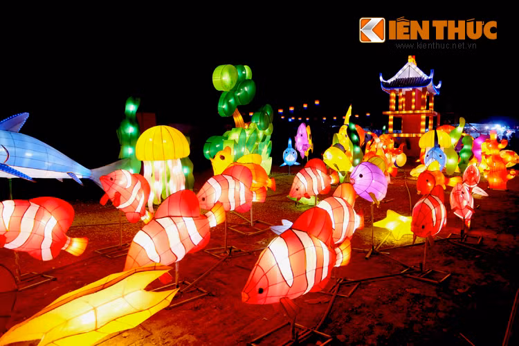 Những chiếc đèn lồng lung linh, rực rỡ khiến người xem không thể rời mắt.