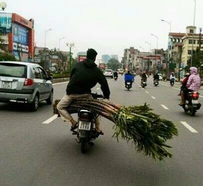 Một kiểu chở mía bá đạo - chỉ có ở Việt Nam.