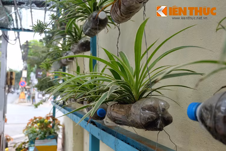 Bác Lan (56 tuổi, bán hàng ở phố Quang Trung) cho biết: "Trước đây, ngã tư 39 Quang Trung này là nơi mọi người vứt rất nhiều rác sinh hoạt, mỗi lần đi qua thì mùi hôi thối bốc lên rất khó chịu. Dù nhiều lần nhắc nhở nhưng người dân vẫn không thay đổi thói quen vứt rác ở đây. Từ khi làm vườn hoa, không ai bảo ai, việc vứt rác tự nhiên chấm dứt".