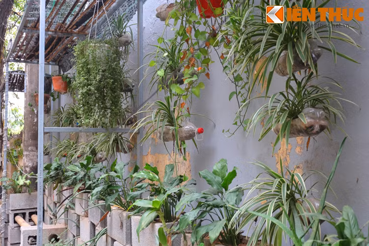 Trước khi có khu vườn này, người dân ở phố Trần Bình (Hà Nội) cho biết, khu vực này tồn tại một bãi rác 10 năm dọn không sạch.