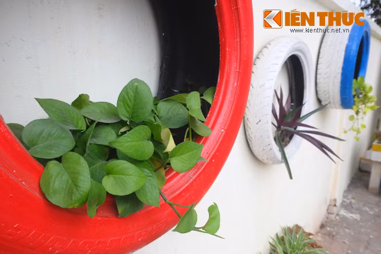 Từ một địa điểm mất vệ sinh trước đây, khu vực này đã "lột xác", khiến con đường trở nên thơ mộng hơn.