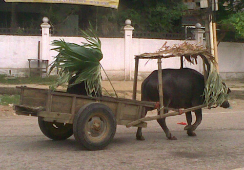 "Siêu xe" nông thôn.