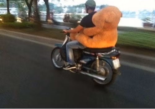 Đèo nhau đi khắp thế gian...