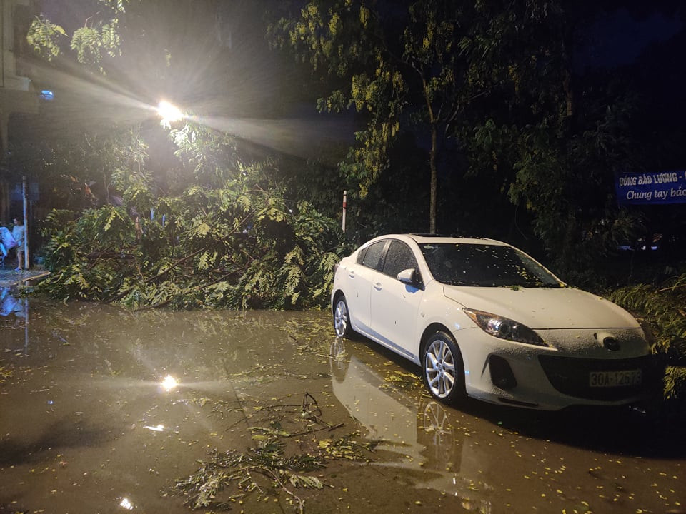 Du bao thoi tiet 24/6, mien Bac con mua, Nghe An den Phu Yen nang nong