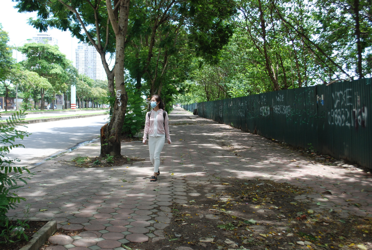 Những ngày nắng nóng, người dân thấu hiểu được giá trị của cây xanh khi phải đứng chờ xe buýt.