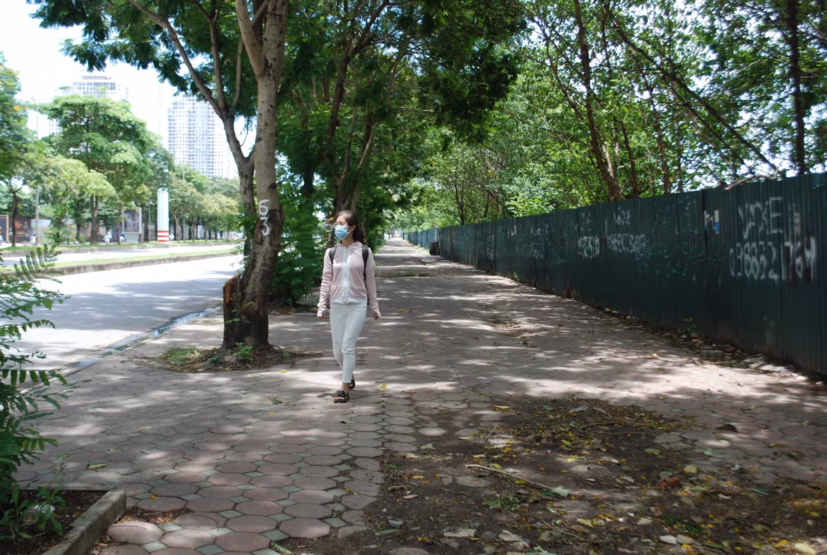 Những ngày nắng nóng, người dân thấu hiểu được giá trị của cây xanh khi phải đứng chờ xe buýt.