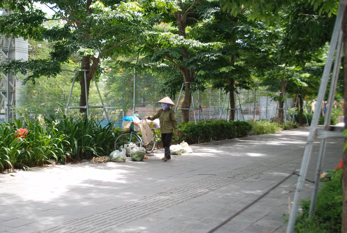 Người bán hàng rong tận dụng bóng râm của hàng cây để phân loại hoa quả trước khi rong ruổi đi bán khắp phố phường.