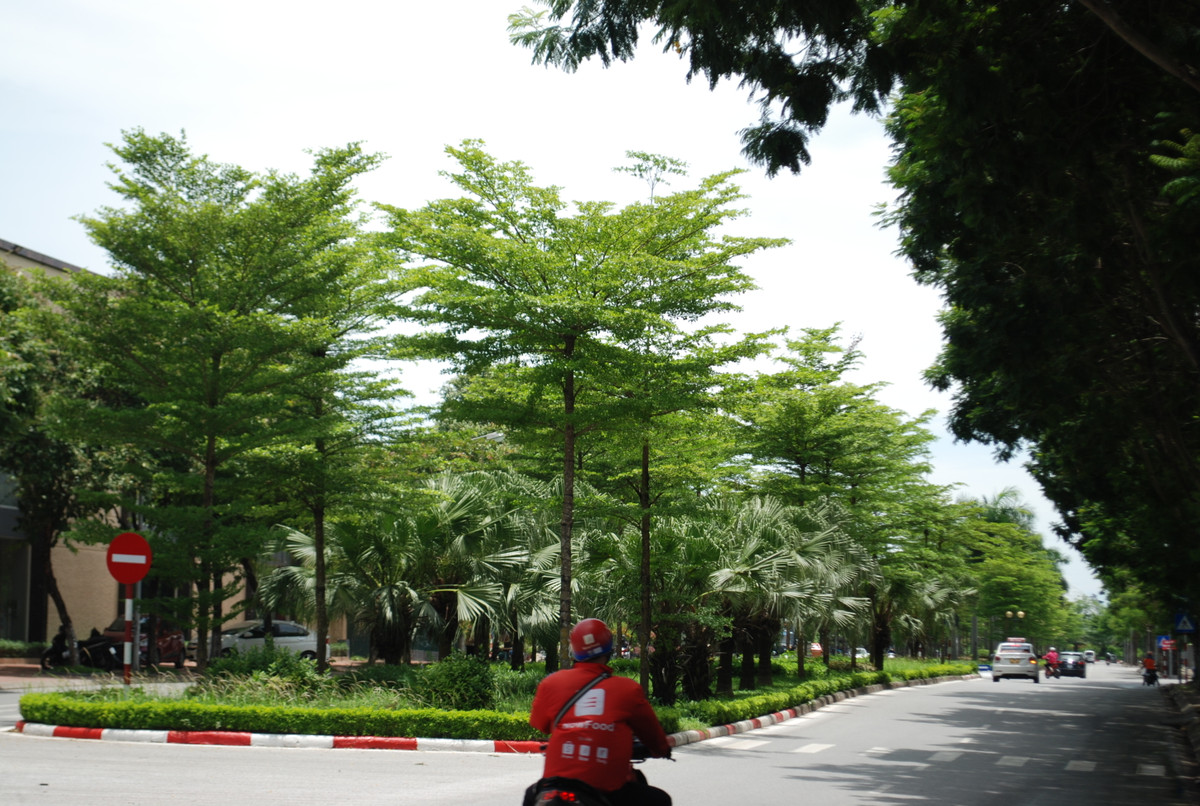 Trung tâm dự báo khí tượng thủy văn quốc gia cho biết, do ảnh hưởng của rìa phía Nam rãnh áp thấp có trục ở khoảng 24-27 độ vĩ Bắc nối với vùng áp thấp nóng phía Tây kết hợp với hiệu ứng phơn nên ngày hôm nay (29/6), ở khu vực trung du, đồng bằng Bắc Bộ, Hòa Bình và Trung Bộ có nắng nóng và nắng nóng gay gắt với nhiệt độ cao nhất phổ biến 35-38 độ, có nơi trên 38 độ. Độ ẩm tương đối thấp nhất ngày phổ biến 40-60%. Thời gian có nhiệt độ trên 35 độ từ 10-18h.