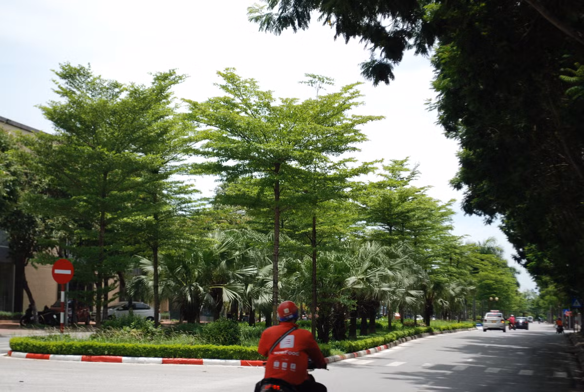 Trung tâm dự báo khí tượng thủy văn quốc gia cho biết, do ảnh hưởng của rìa phía Nam rãnh áp thấp có trục ở khoảng 24-27 độ vĩ Bắc nối với vùng áp thấp nóng phía Tây kết hợp với hiệu ứng phơn nên ngày hôm nay (29/6), ở khu vực trung du, đồng bằng Bắc Bộ, Hòa Bình và Trung Bộ có nắng nóng và nắng nóng gay gắt với nhiệt độ cao nhất phổ biến 35-38 độ, có nơi trên 38 độ. Độ ẩm tương đối thấp nhất ngày phổ biến 40-60%. Thời gian có nhiệt độ trên 35 độ từ 10-18h.