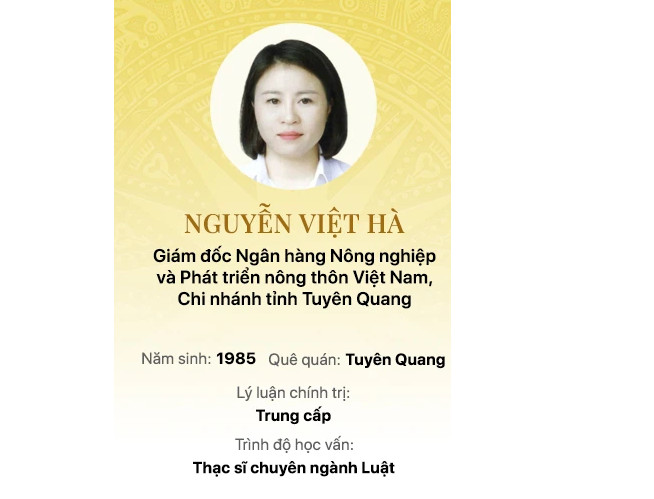 Bà Nguyễn Việt Hà.