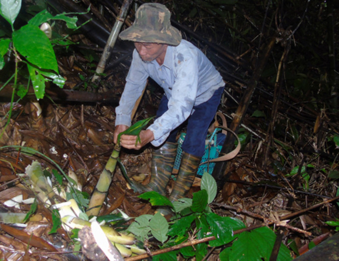 'Triet ly' cua nguoi di hai mang rung-Hinh-2