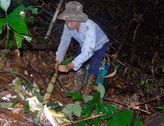'Triet ly' cua nguoi di hai mang rung-Hinh-2