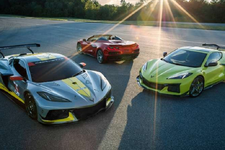 Các tùy chọn nâng cấp khác có thể kể đến gói trang bị nội thất bằng sợi carbon, gói nâng cấp nội thất da, vô lăng đi kèm lẫy chuyển số bằng sợi carbon, 12 màu sắc ngoại thất, 7 tùy chọn lazăng, 7 tùy chọn màu nội thất, 3 tùy chọn ghế, 6 tùy chọn dây an toàn, và 6 tùy chọn màu cho kẹp phanh.