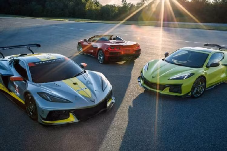 Các tùy chọn nâng cấp khác có thể kể đến gói trang bị nội thất bằng sợi carbon, gói nâng cấp nội thất da, vô lăng đi kèm lẫy chuyển số bằng sợi carbon, 12 màu sắc ngoại thất, 7 tùy chọn lazăng, 7 tùy chọn màu nội thất, 3 tùy chọn ghế, 6 tùy chọn dây an toàn, và 6 tùy chọn màu cho kẹp phanh.