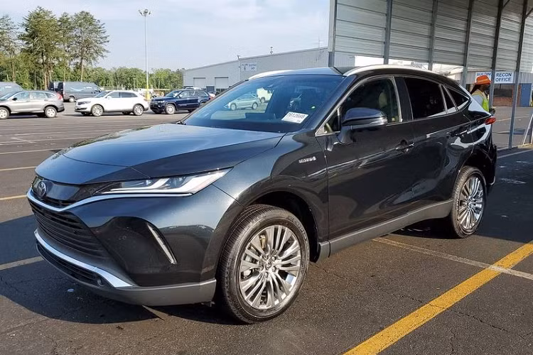 Doanh nghiệp tư nhân lại tiếp tục chào hàng Toyota Venza thế hệ mới (tên là Harrier tại khu vực Đông Nam Á) với bản LE giá từ 2,9 tỷ đồng và bản Limited giá lên tới 3,6 tỷ đồng. Có thể thấy, bản LE đắt hơn đáng kể so với Mercedes-Benz GLC 300 (2,5 tỷ đồng) trong khi bản Limited lại cao hơn nhiều so với xe sang Lexus RX 300 (3,18 tỷ đồng).