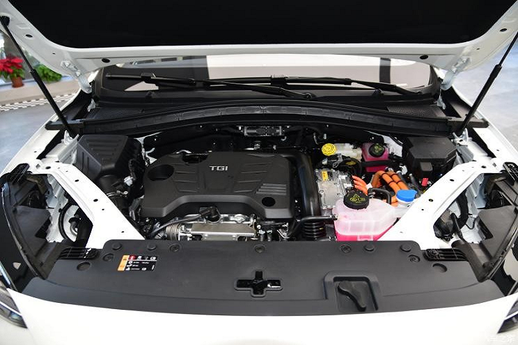 Là mẫu SUV dùng hệ truyền động plug-in hybrid đầu tiên của thương hiệu MG tại thị trường Trung Quốc, Linghang PHEV thế hệ mới được trang bị động cơ xăng 4 xi-lanh, dung tích 1.5L và mô-tơ điện đồng bộ nam châm vĩnh cửu. Động cơ xăng có công suất tối đa 169 mã lực và mô-men xoắn cực đại 250 Nm trong khi con số tương ứng của mô-tơ điện là 122 mã lực. Tổng cộng, xe có công suất 291 mã lực và mô-men xoắn cực đại 480 Nm nên có thể tăng tốc từ 0-100 km/h trong thời gian 7 giây.