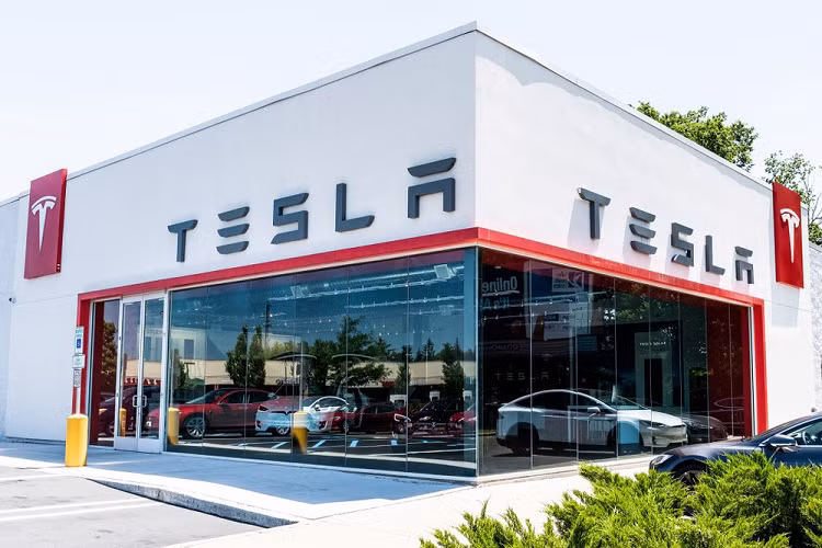 Ly do xe Tesla hut chuot, khach hang thiet hai ca tram trieu dong?