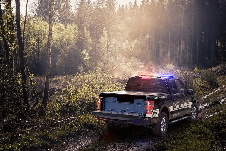 F-150 Police Responder cũng có công tắc một chạm độc quyền của cơ quan cảnh sát, có thể tạm thời vô hiệu hóa tất cả công nghệ an toàn trong trường hợp cảnh sát chủ động đâm vào xe khác.