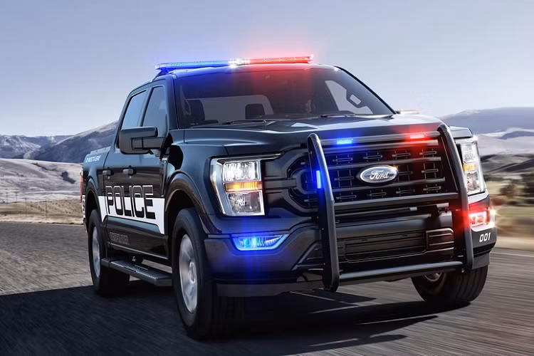 Xe được cải tiến so với bản thương mại nhằm phù hợp với nhiệm vụ của cảnh sát. Giá xe Ford F-150 Police Responder khoảng 44.000 USD tại thị trường Mỹ (tương đương hơn 1 tỷ đồng).