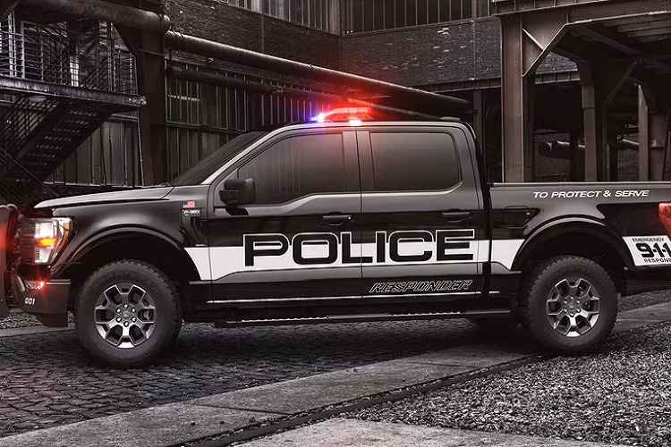 Theo Greg Ebel - Giám đốc thương hiệu Ford Police Vehicle: "Các cơ quan thực thi pháp luật cho biết họ muốn chiếc xe có thêm sức kéo, khả năng off-road tốt nhưng lại lo ngại về tốc độ và khả năng xử lý. Đó là lý do mà mẫu F-150 này có sức kéo lên đến 5 tấn và tải trọng 920 kg. F-150 Police Responder cũng có mức mô-men xoắn theo đúng yêu cầu và hệ dẫn động 4 bánh để dễ dàng chuyển đổi trạng thái vận hành từ đô thị đến địa hình phức tạp"