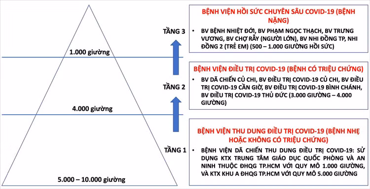 Vi sao TP HCM co the can nhac phuong an dieu tri F0 tai nha?-Hinh-2