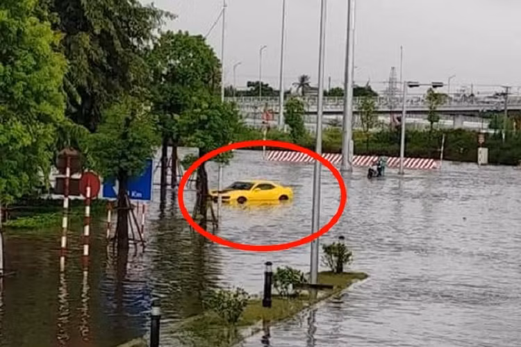 Hình ảnh chụp lại cho thấy, mẫu xe được mệnh danh là "Bumblebee" đành chịu trận khi bị nước lũ bao vây. Đáng chú ý là trong số hàng chục xe ô tô bị "chết máy" do di chuyển vào các con đường ngập sâu có mẫu xe thể thao Chevrolet Camaro đắt tiền thế hệ cũ, với ngoại thất sơn màu vàng được cho là chỉ có duy nhất một chiếc ở thành phố Hải Phòng.
